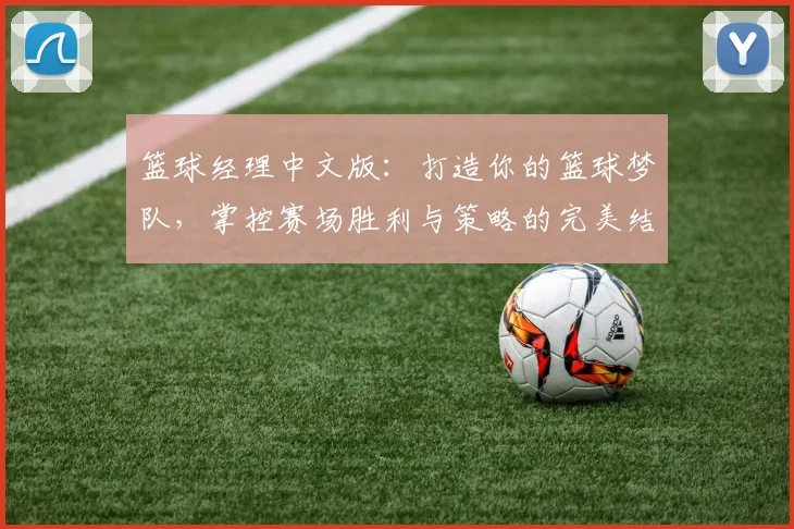 篮球经理中文版：打造你的篮球梦队，掌控赛场胜利与策略的完美结合