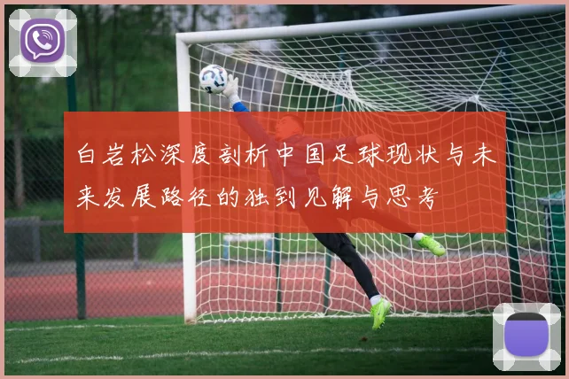 白岩松深度剖析中国足球现状与未来发展路径的独到见解与思考