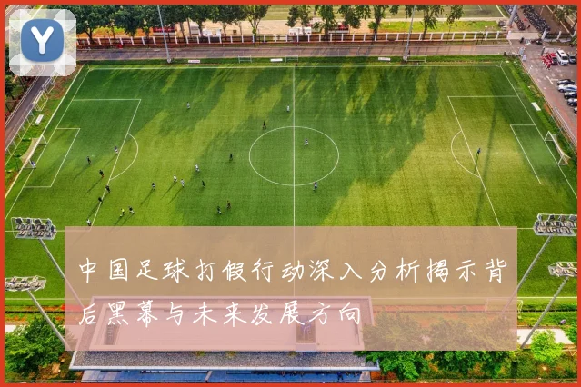 中国足球打假行动深入分析揭示背后黑幕与未来发展方向
