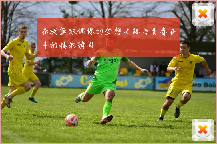 花树篮球偶像的梦想之路与青春奋斗的精彩瞬间