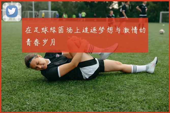 在足球绿茵场上追逐梦想与激情的青春岁月